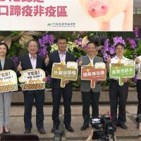 台灣歷經24年終從口蹄疫區除名！強力外銷打豬豬世界盃