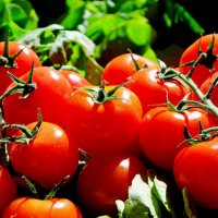 蔬菜中的降壓明星！用「番茄」製作的3道料理食譜，預防心腦血管疾病...