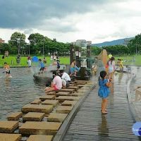 端午連假小確幸　內湖運動公園免費戲水消暑趣