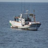 快新聞／蘇澳漁船遭日船干擾 艦隊分署：除娛樂船外另有1艘公務船現蹤