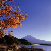 【山梨縣】看幾次都不膩!【富士山・河口湖】一日遊，山水美景盡收眼底