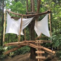 東眼山國家森林遊樂區 新增木構造創作作品