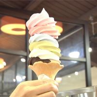 「彩虹霜淇淋」6種口味一次嚐！北海道美食在台灣