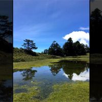 不輸嘉明湖！「嘉明妹池」天然美景吸上百登山客造訪
