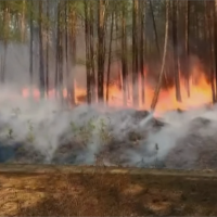俄羅斯西伯利亞森林野火 燒毀逾46000公頃