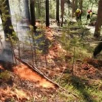 西伯利亞森林大火延燒1星期 短時間難撲滅