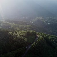 台灣沿岸打造綠色屏障 林務局盼造林延續生機