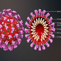 英研究：新冠病毒抗體撐不久 可能要像流感一樣年年打疫苗