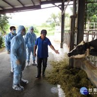 防範牛結節疹疫情　台東農業處加強縣內養牛場業者視察