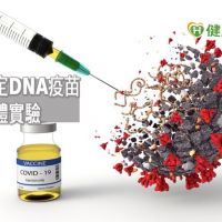 對抗新冠病毒一劑解方　國衛院選定DNA疫苗