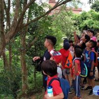 暑假造訪淡水忠寮社區　探索獨角仙生態及百年古厝