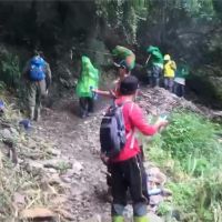 八通關古道虎頭蜂群攻擊登山客 22人被螫傷