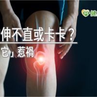 膝蓋常伸不直或卡卡？　小心是半月軟骨損傷惹禍