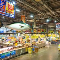 暢遊關西最大型海鮮漁獲市場！吃盡新鮮海產的和歌山「とれとれ市場」