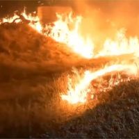 美國南加州「蘋果野火」延燒8300公頃 近8000人撤離家園