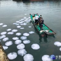 富岡漁港不明油污染　台東啟動海污應變4小時內完成清除