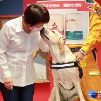 全國首隻晉升2線1星搜救犬　「鐵雄」親了盧秀燕