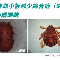 中國新病毒逾60人染病7死！ 台灣去年首例早懷疑「候鳥帶病跨境」