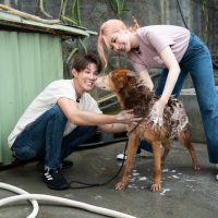  一日志工體驗！安心亞、夏和熙深入狗園打掃，為毛小孩SPA沖澡成另類「濕身秀」