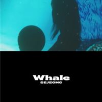 金世正將時隔5個月回歸歌壇 8月17日發行自作曲「Whale」
