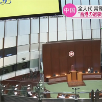 香港立法會全數延任1年 含民主派4位議員
