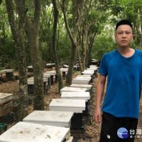 外埔青年劉宗明養蜂技術高　國產蜂蜜評鑑獲特等獎