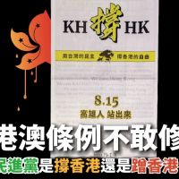 楊寶楨：民進黨只會蹭香港  批《港澳條例》修法一拖再拖