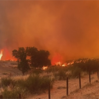 燒掉一個南投縣！ 加州野火肆虐「聯邦級災難 」