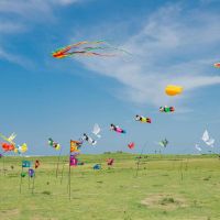 「2020新竹市國際風箏節」週末新竹漁港開跑