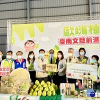 開拓海外市場　麻豆文旦外銷日本