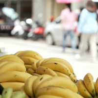 重回「香蕉王國」！台灣蕉農簽下日本4.3億訂單
