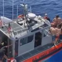 「大白鯊」真實版 防衛隊隊員 下海遭遇鯊魚