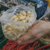 也太貴了吧！蒜頭每斤飆破300元 活蝦業者每月成本多1萬5千元！