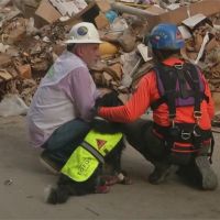 黎巴嫩大爆炸瓦礫堆測到生命跡象！搜救隊奮力挖掘中