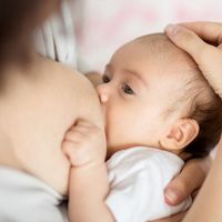 餵母乳較配方奶降低孩子肥胖風險？ 專家解密關鍵原因