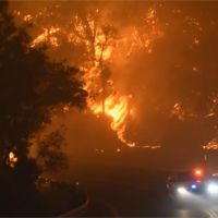 西岸野火燒不盡 至少9死數千棟房屋燒毀