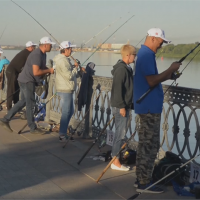 俄羅斯「魚鄉」釣魚比賽 比誰釣的魚最長