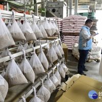 強化南區稻米產業發展　花蓮縣府挹注千萬協助加工設備改善