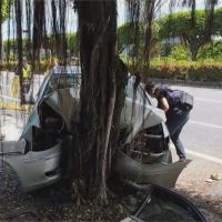 小客車花東自駕遊 高速撞路樹2死2傷