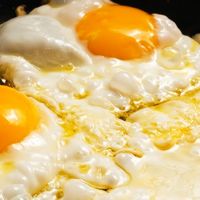 吃蛋可能不會增加壞膽固醇 但吃太多恐增這些疾病風險