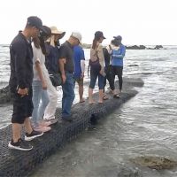 富山護魚區禁遊客餵魚 漁會將推餵食秀