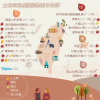 【2020秋遊攻略】賞楓,銀杏,落羽松,山毛櫸景點x時程整理!