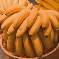 網紅協助促銷香蕉 生動吃播推薦特色景點
