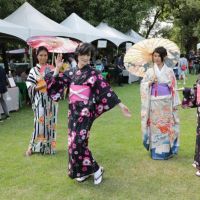 「總爺和風文化祭」正式展開 精緻西陣織和服秀如置身日本京都