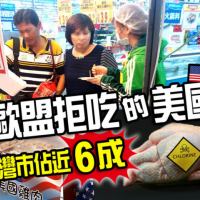 歐盟拒吃的美國雞　台灣市佔近6成【氯洗雞3】