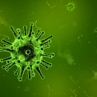 校園群聚情況頻傳，5個關鍵預防感染諾羅病毒