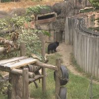 壽山動物園飼料預算低 可憐動物吃爛果？