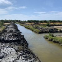 「七股鹽田濕地水文生態環境永續管理計畫」 年度成果發表會