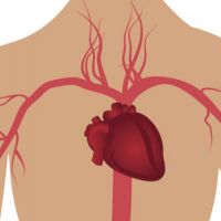 因主動脈剝離驟逝案例頻傳 控制高血壓能避免憾事發生