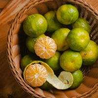 柑橘種類大全｜柑橘季到～台灣常見的橘子、柳丁的種類一次了解！
